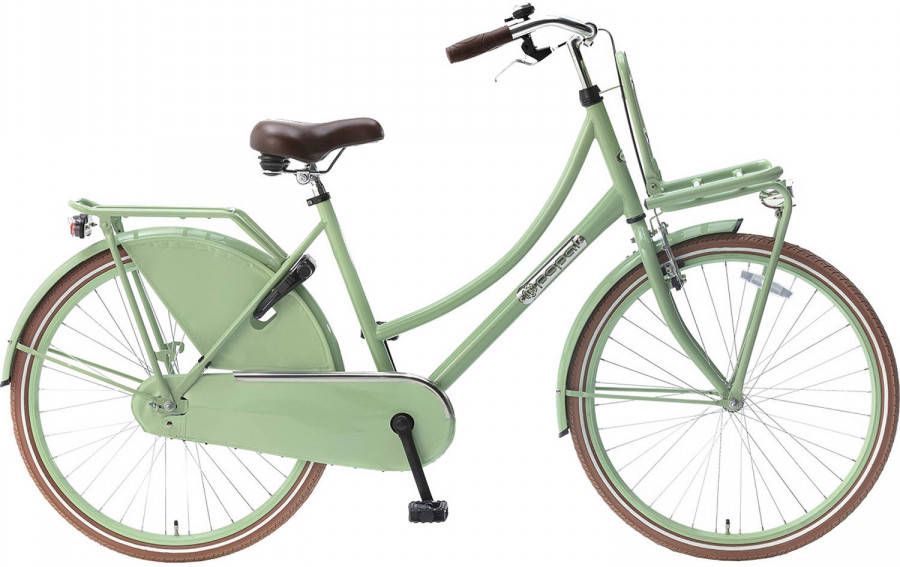 Popal Meisjesfiets Daily Dutch Basic 26 Inch 46 Cm Meisjes Terugtraprem Groen