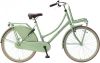 Popal Meisjesfiets Daily Dutch Basic 26 Inch 46 Cm Meisjes Terugtraprem Groen online kopen