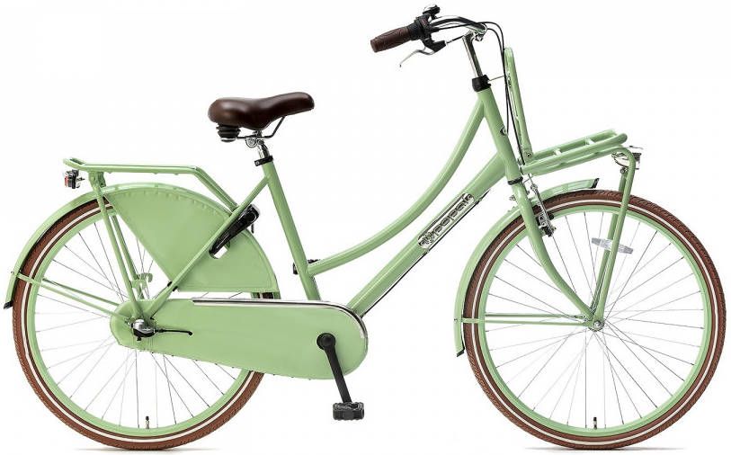Popal Meisjesfiets Daily Dutch Basic+ 26 Inch 46 Cm Meisjes 3v Terugtraprem Groen