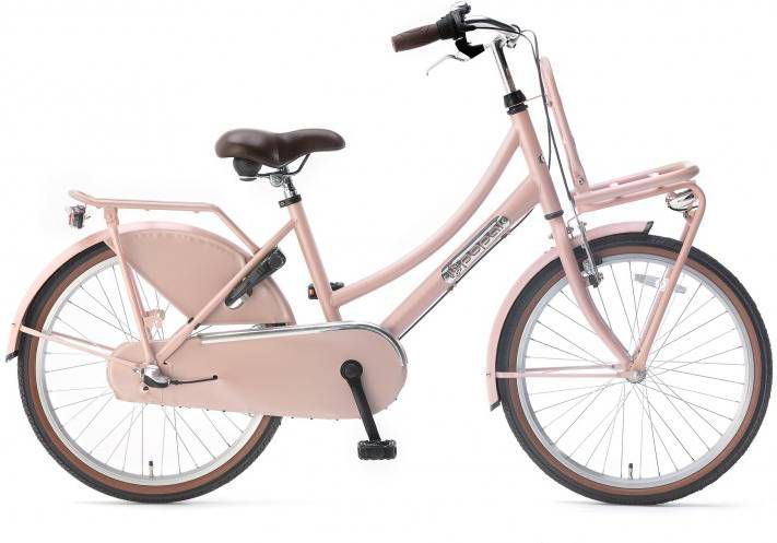 Popal Meisjesfiets Daily Dutch Basic+ 22 Inch 36 Cm Meisjes 3v Terugtraprem Zalmroze